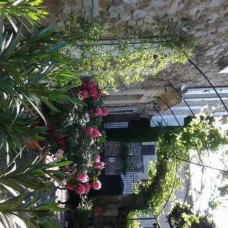 La Bastide Des Cedres Saint-Pantaléon-les-Vignes